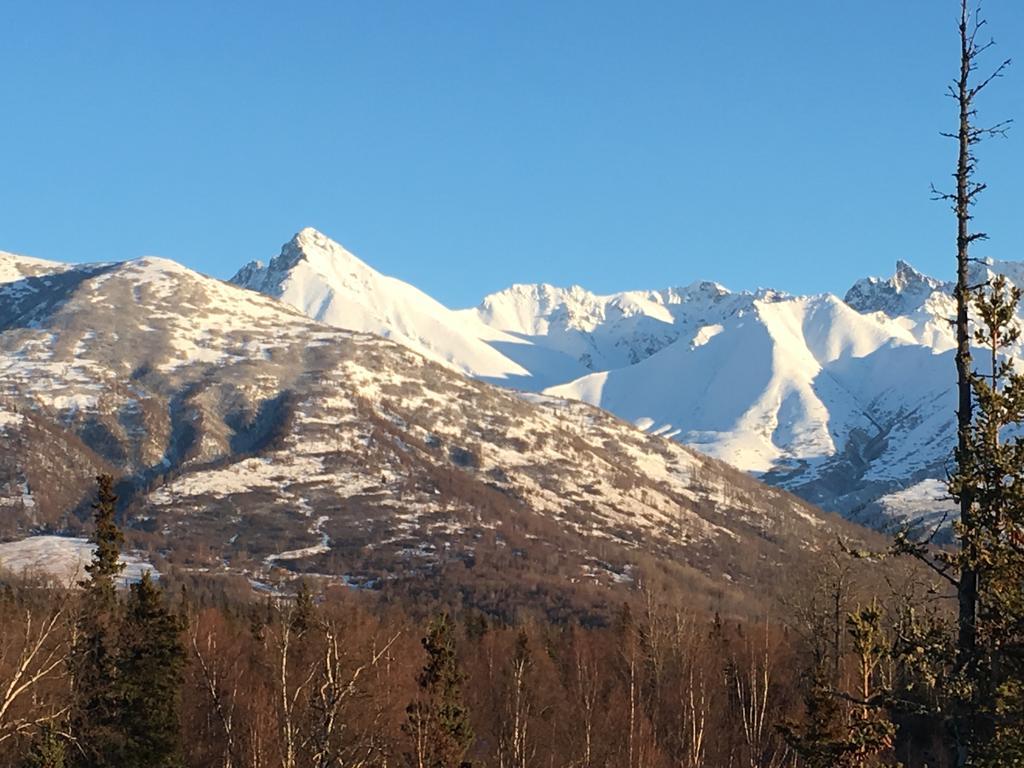 Alaska Knotty Pine B&B Palmer Dış mekan fotoğraf